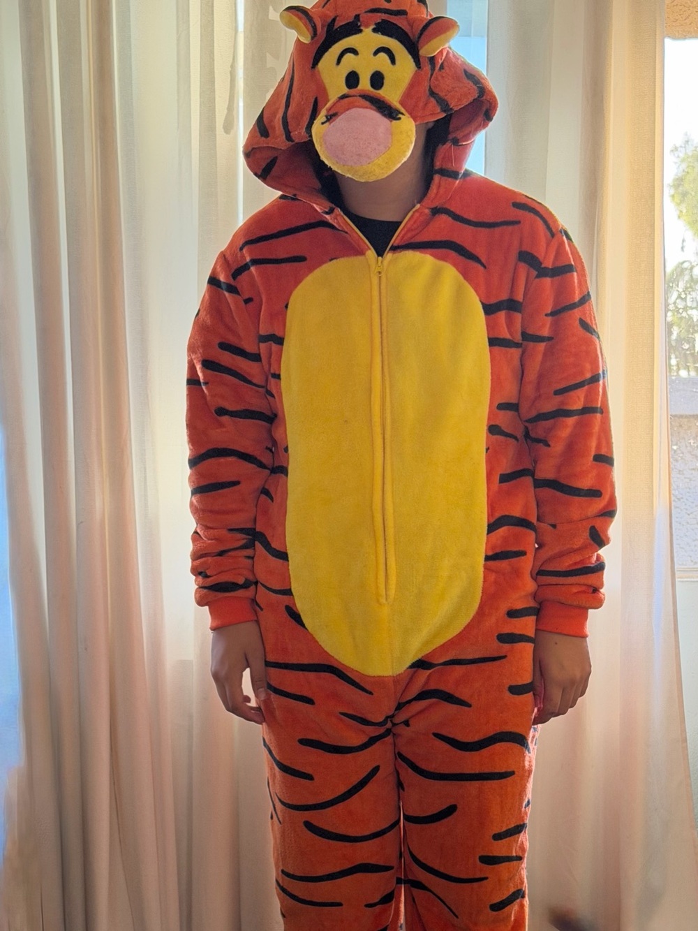 Disney Tigger-Inspired Unisex Orange and Yellow costume